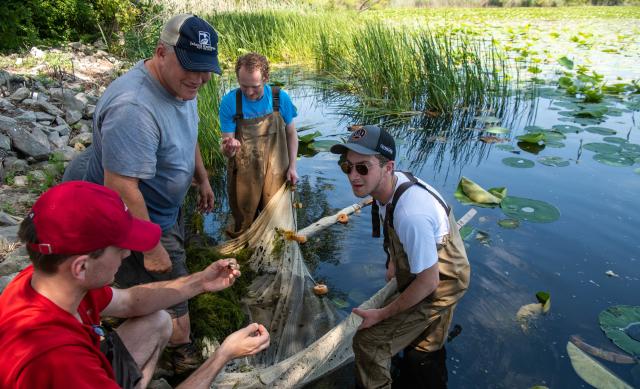 several people studying something in a marsh