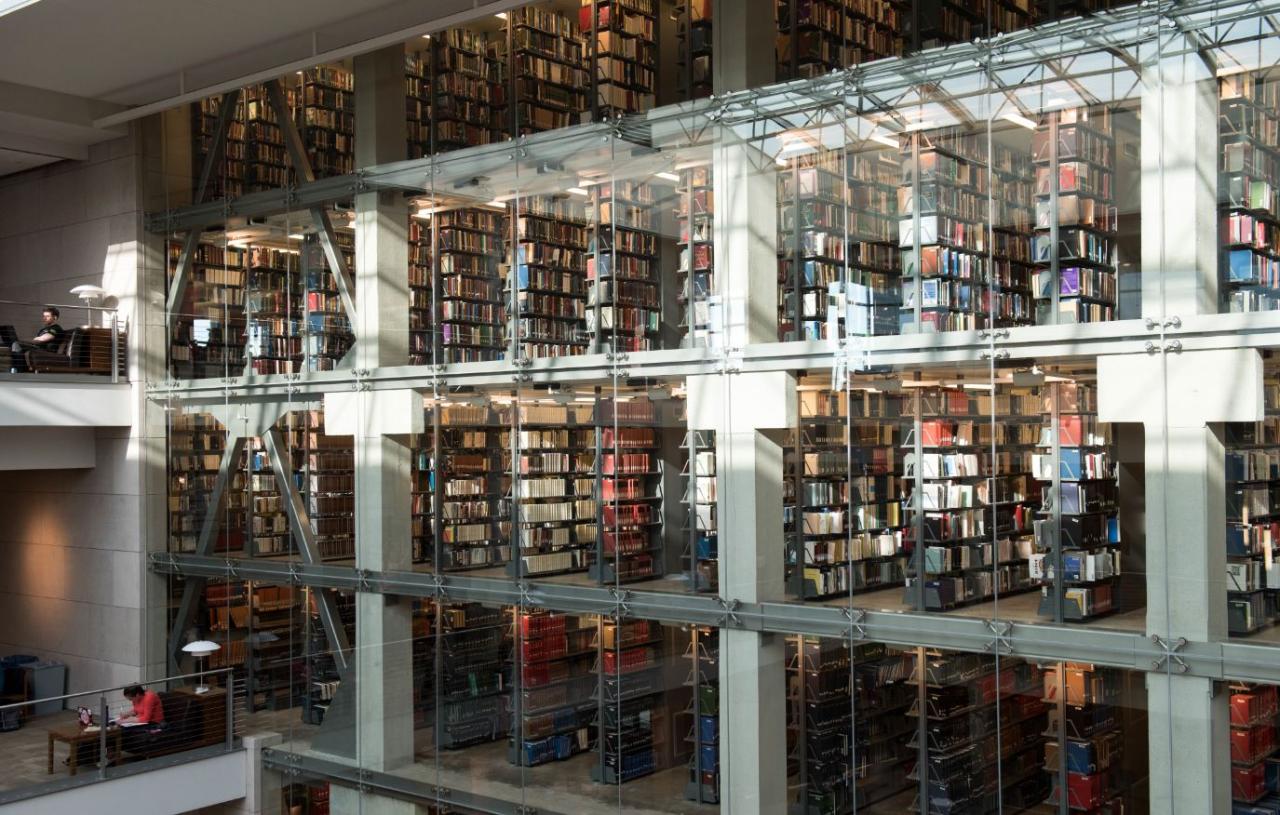 Inside image of the Thompson Library with stack of books and visible through glass.
