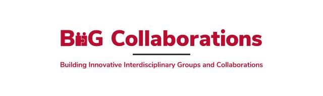 BiiG Collaborations BIIG Collaborations