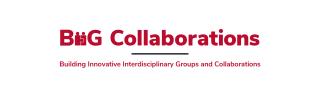 BIIG Collaborations