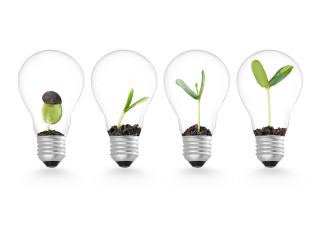 light bulbs with plants growing inside