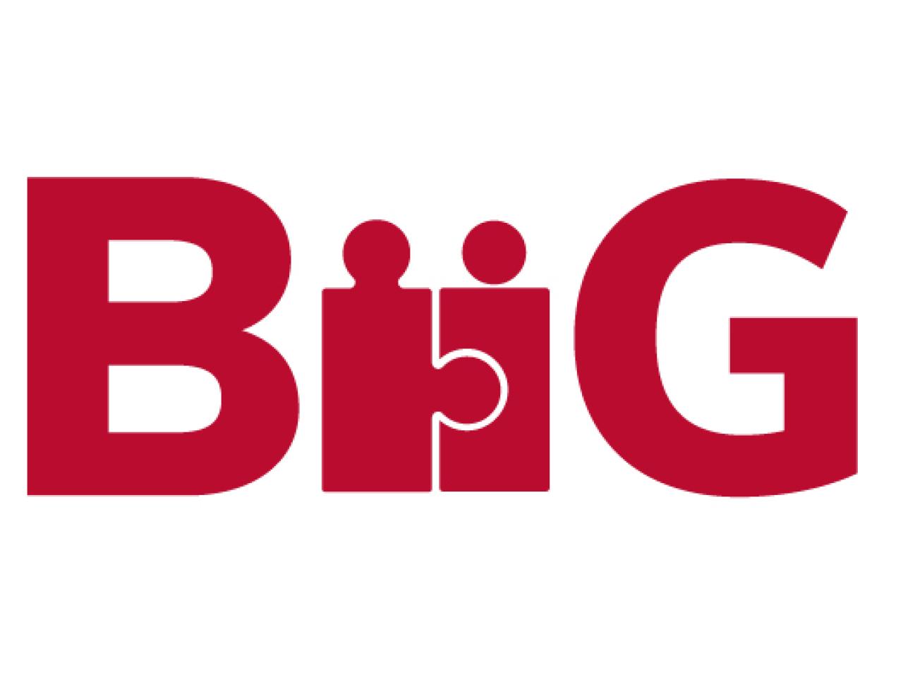 BIIG Collaborations