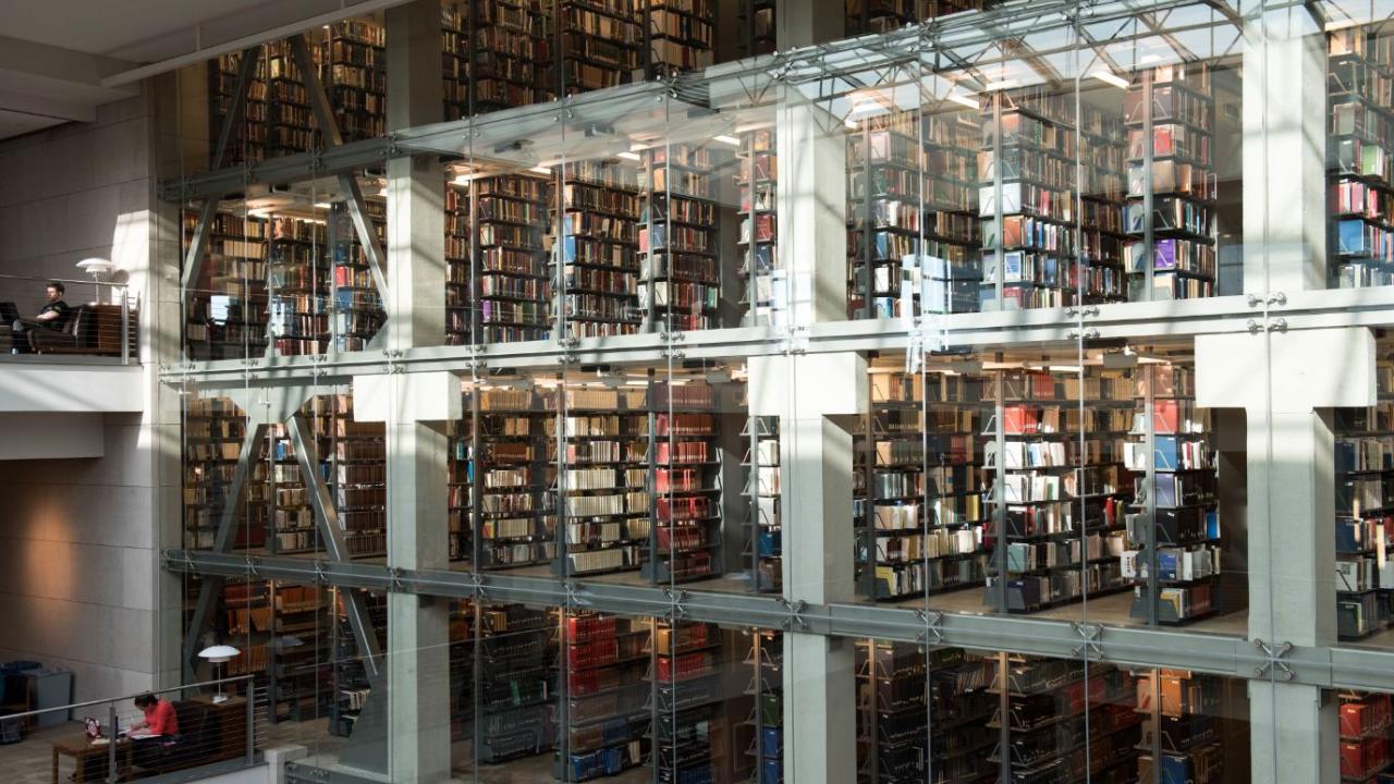 Inside image of the Thompson Library with stack of books and visible through glass.